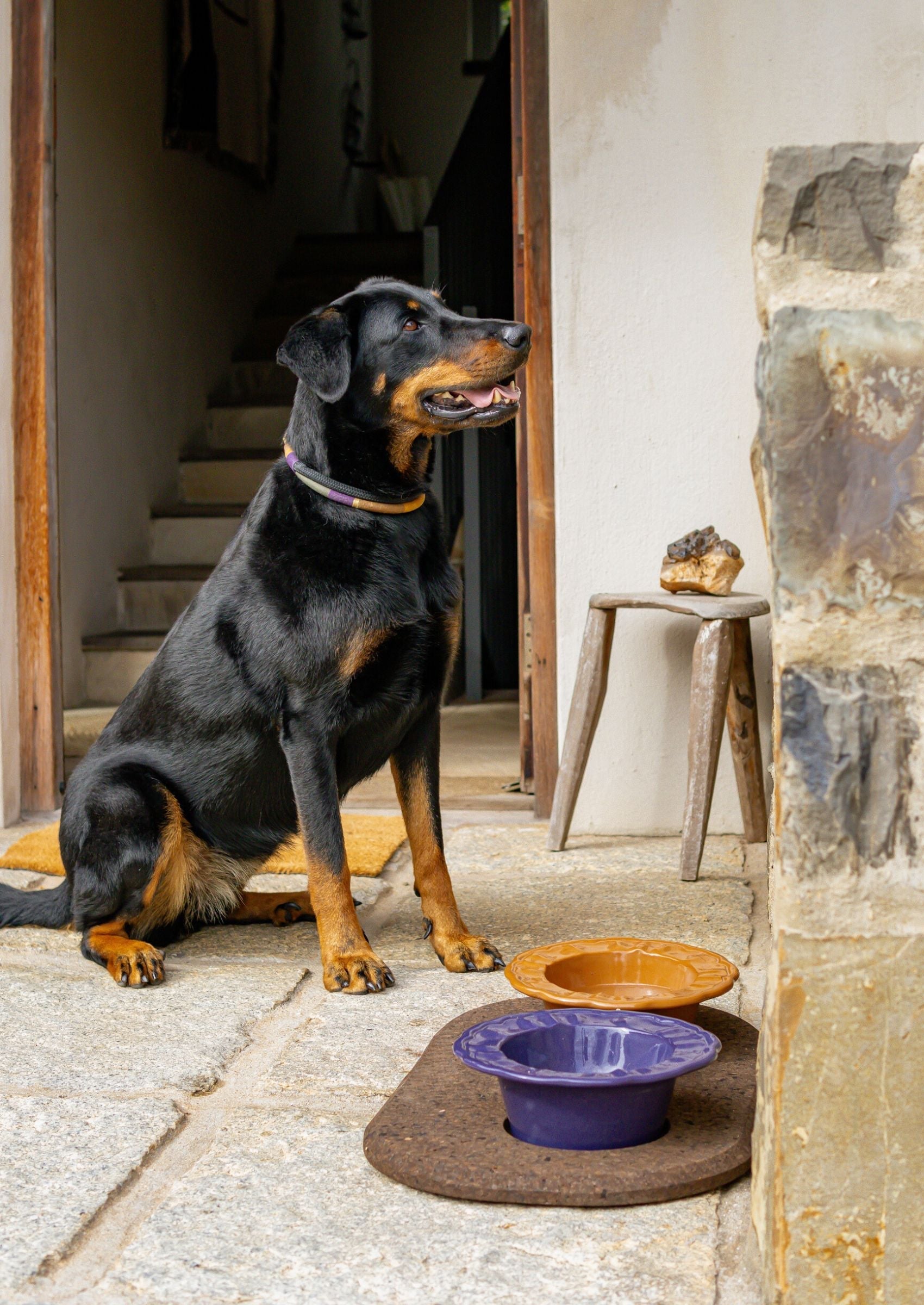 Chommies Ceramic Boujee Dog Bowl | Tangerine