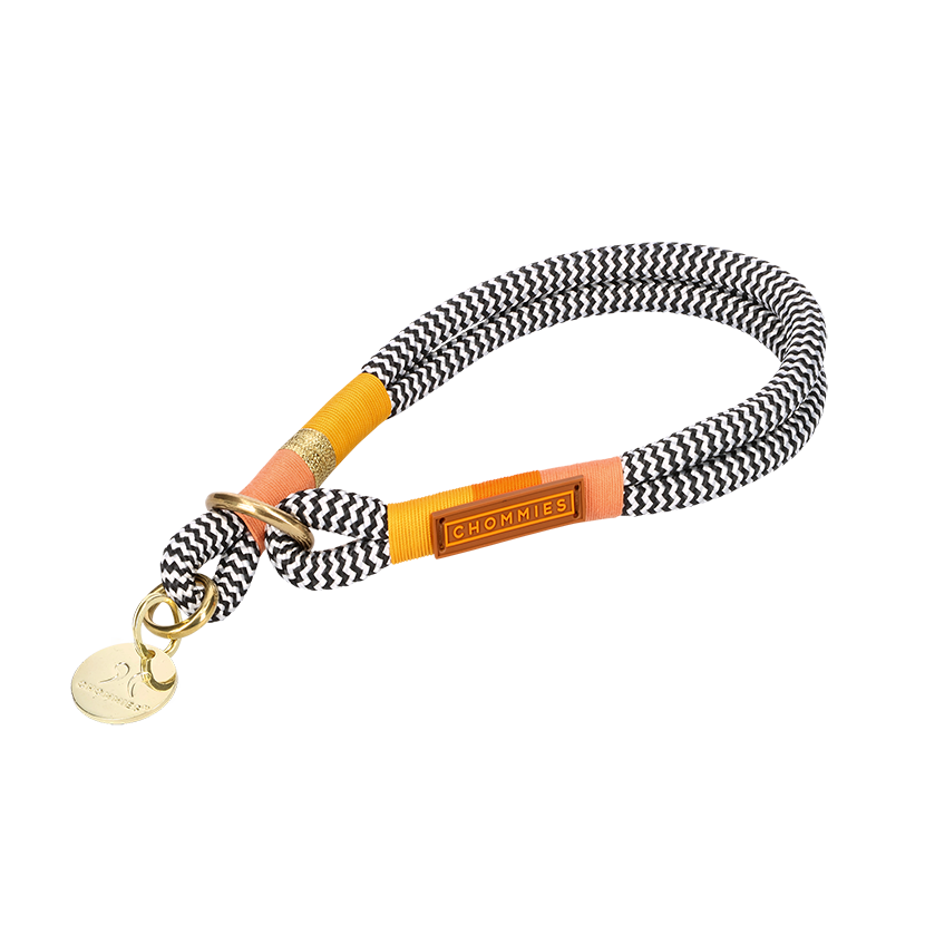 Slip-On Dog Collar