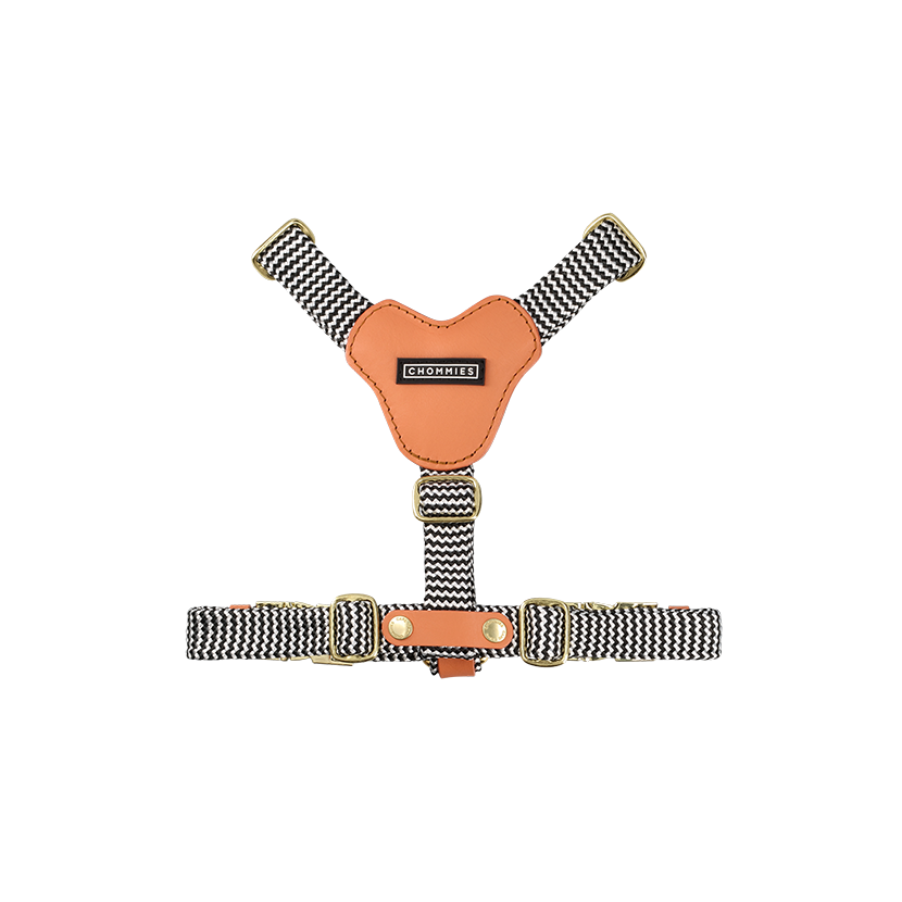 Adjustable Leather Dog Harness | Apricot