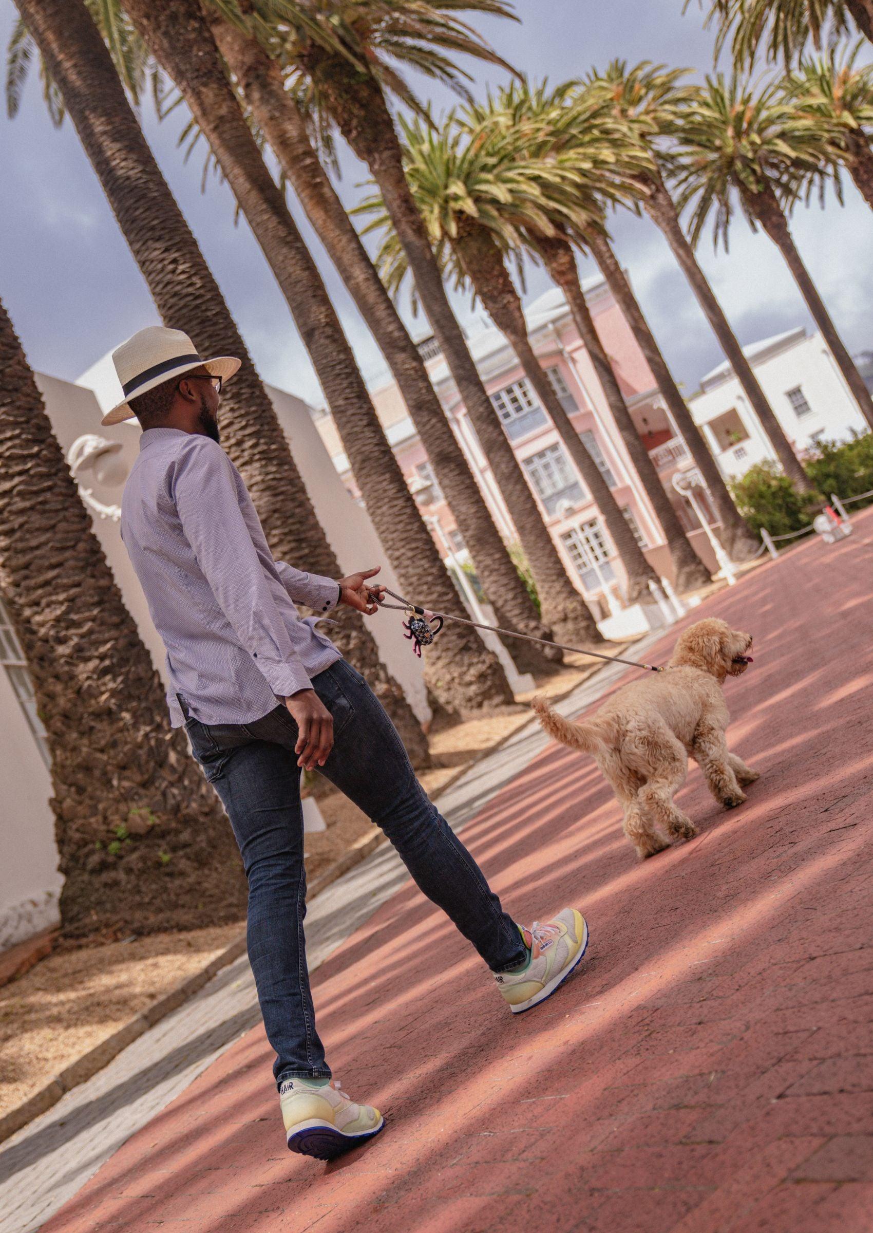 Chommies Everyday Dog Leash | Tennis Court