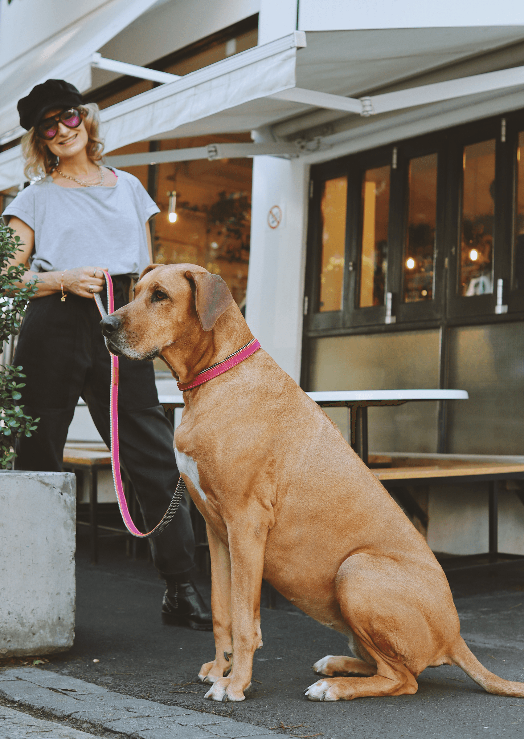 Chommies Everyday Leather Dog Leash | Pink Lizzo
