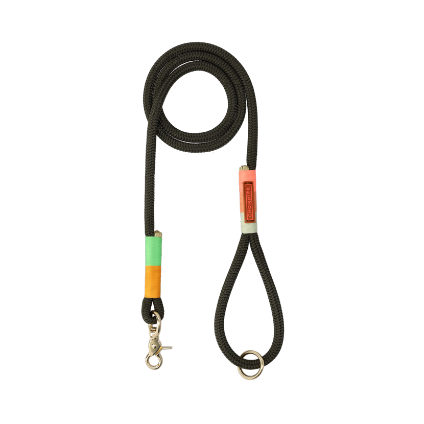 Everyday Dog Leash | Spring