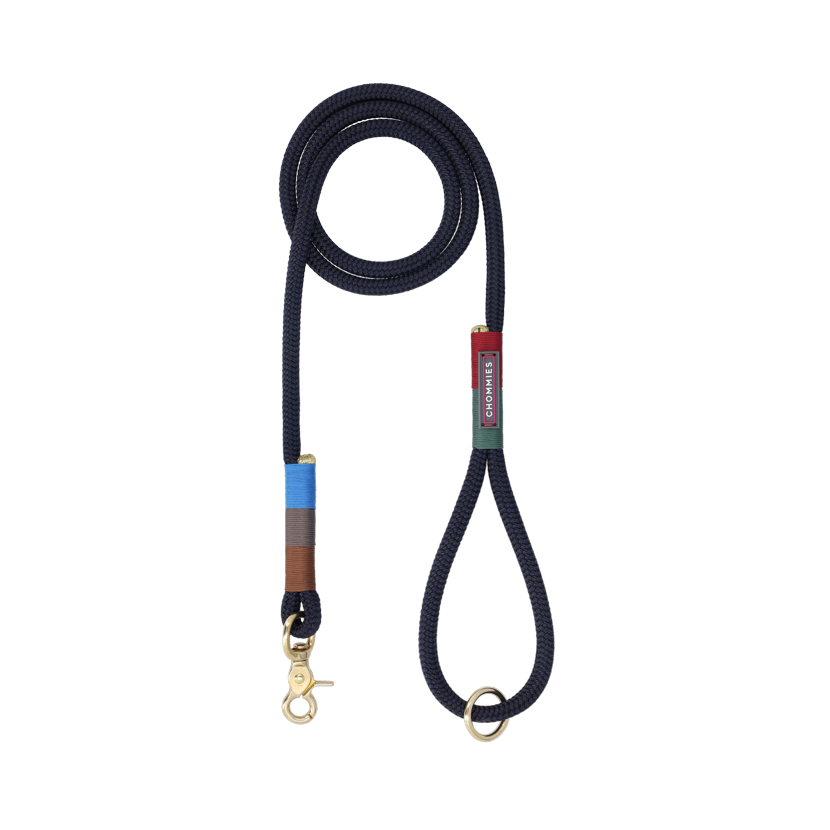Everyday Dog Leash | Winter