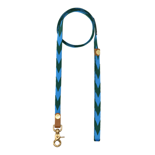 Everyday Leash | Blue & Green