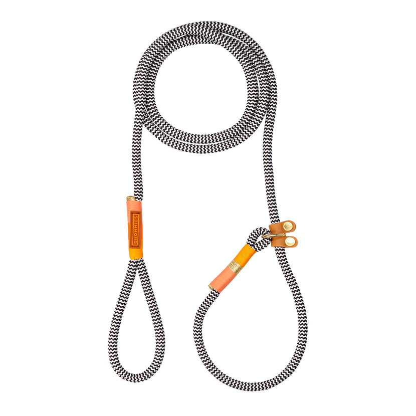 Slip-On Dog Leash