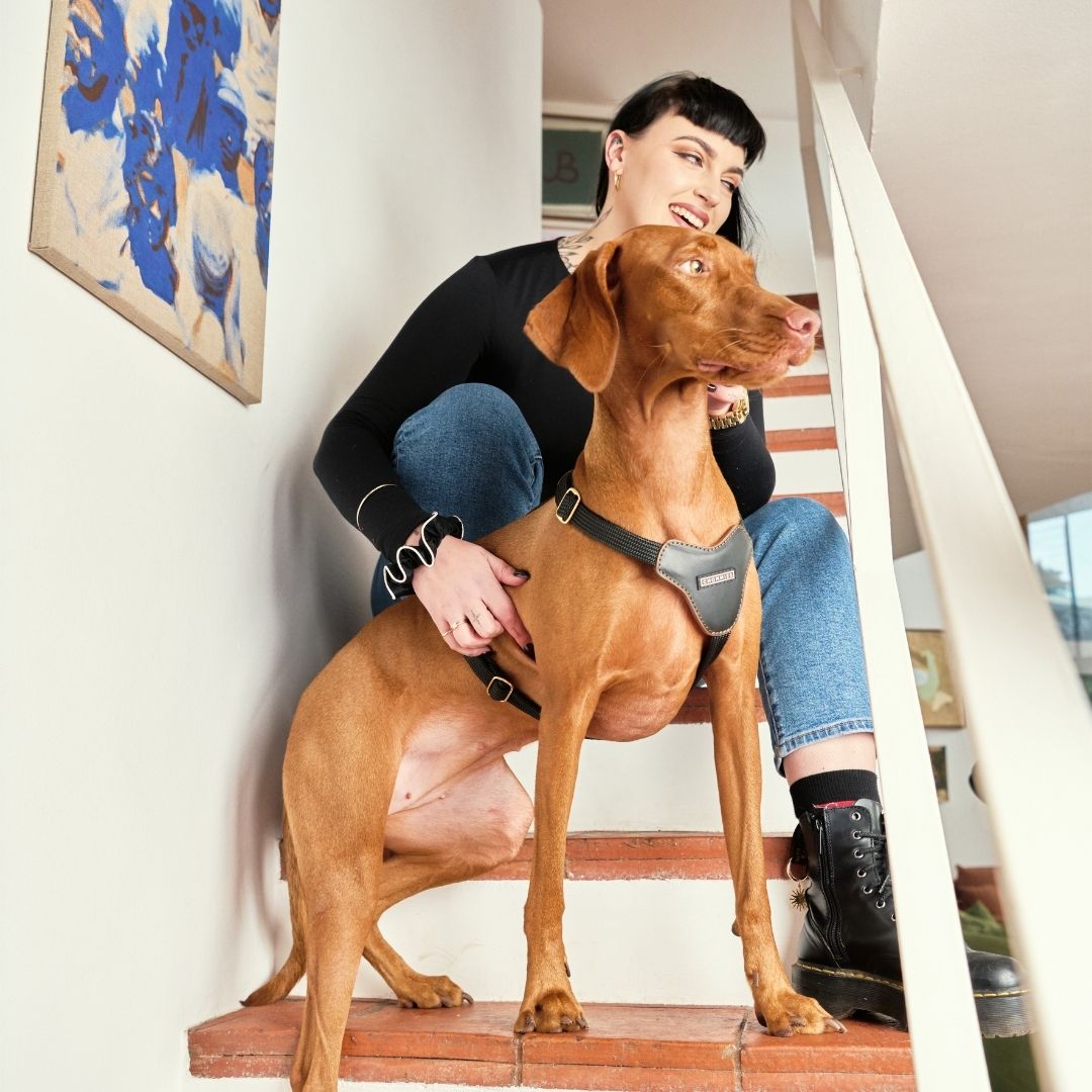 Adjustable Leather Harness | Hendrix