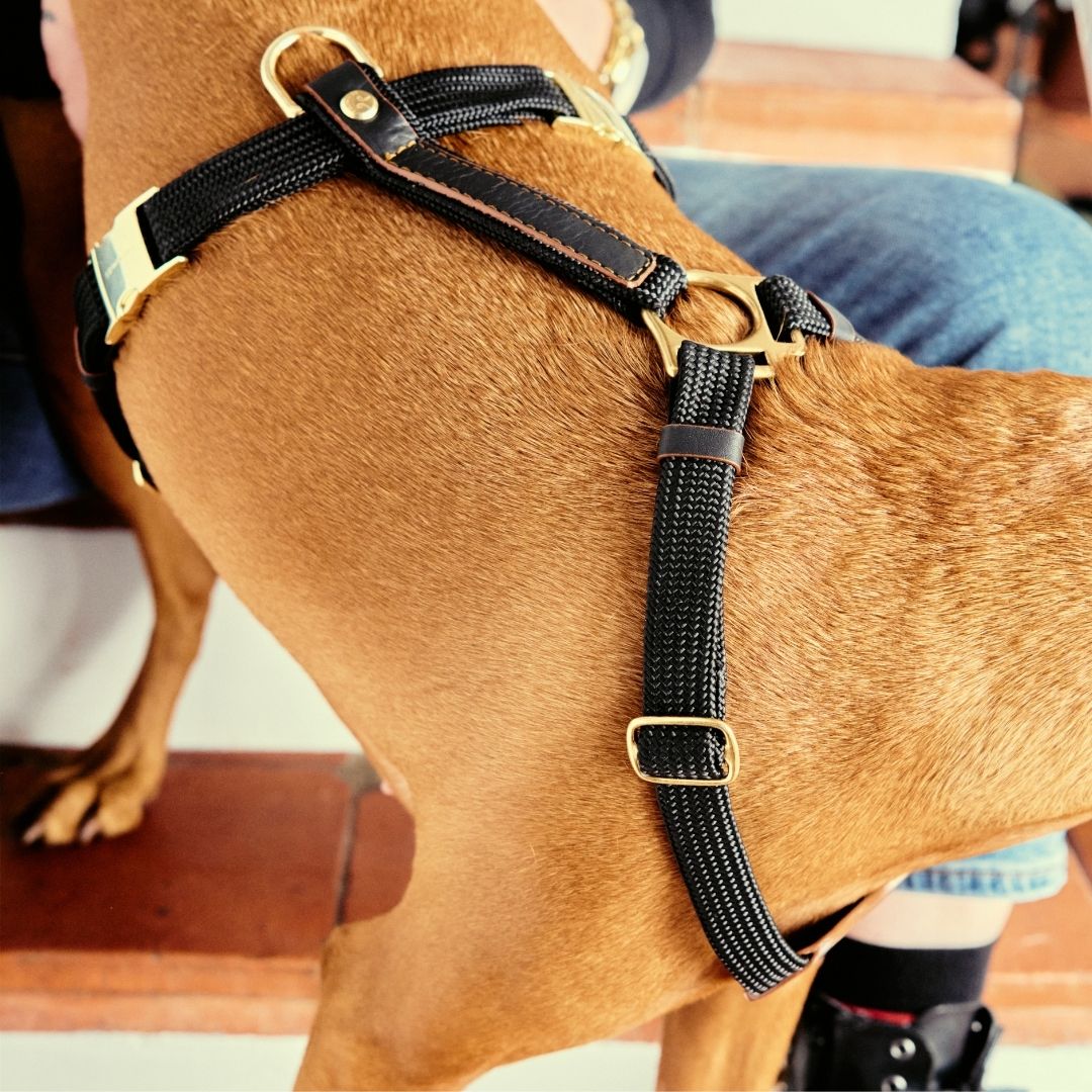 Adjustable Leather Harness | Hendrix