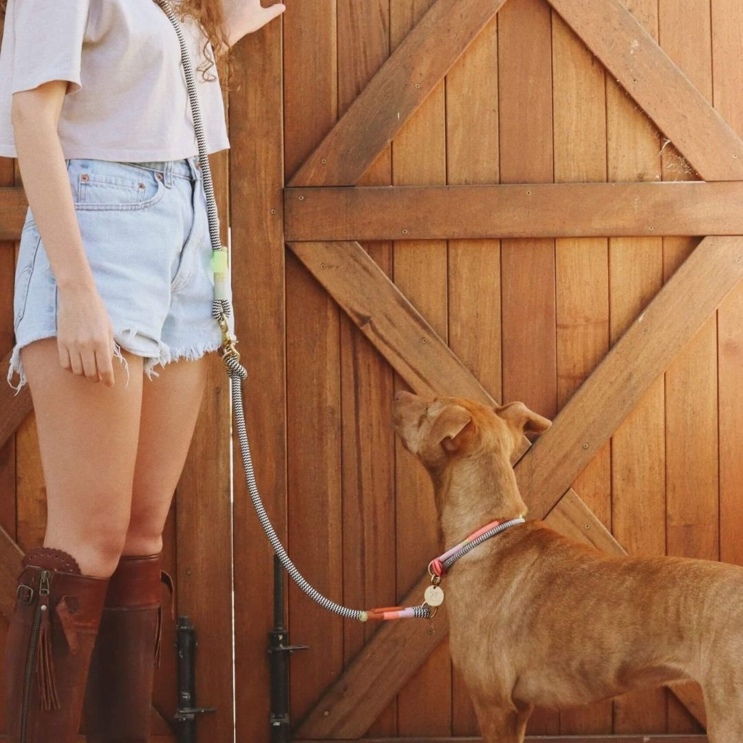 Hands-Free Dog Leash | Popsicle