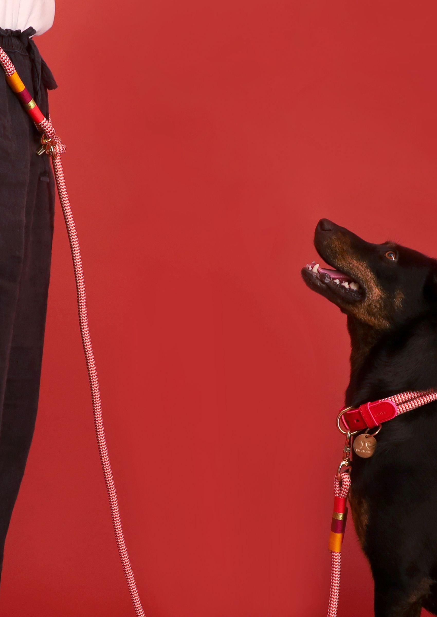 Chommies Hands - Free Dog Leash | Fezzy