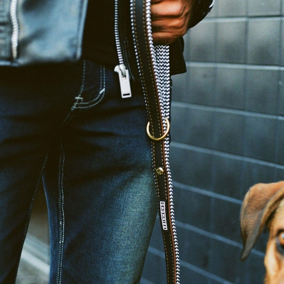 Everyday Leather Dog Leash | Hendrix