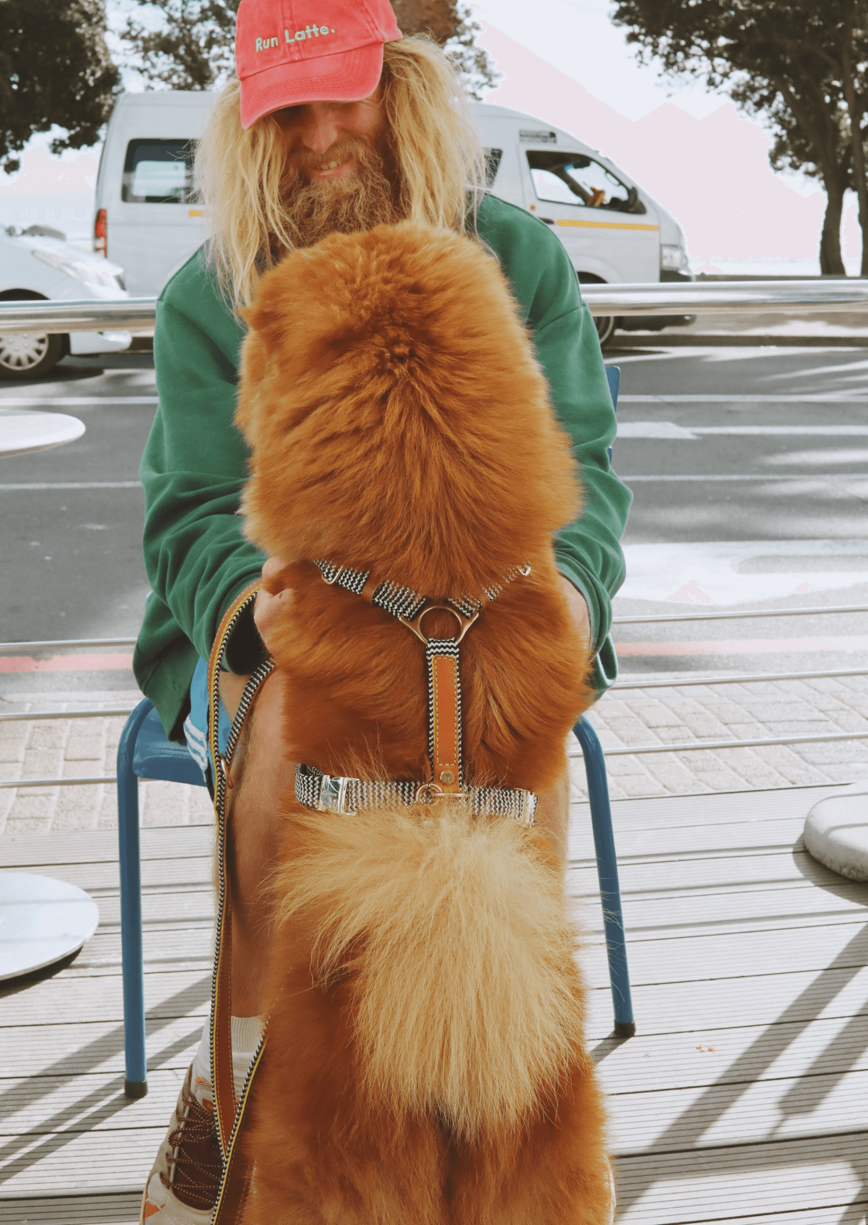 Chommies Leather Dog Harness | Cognac West