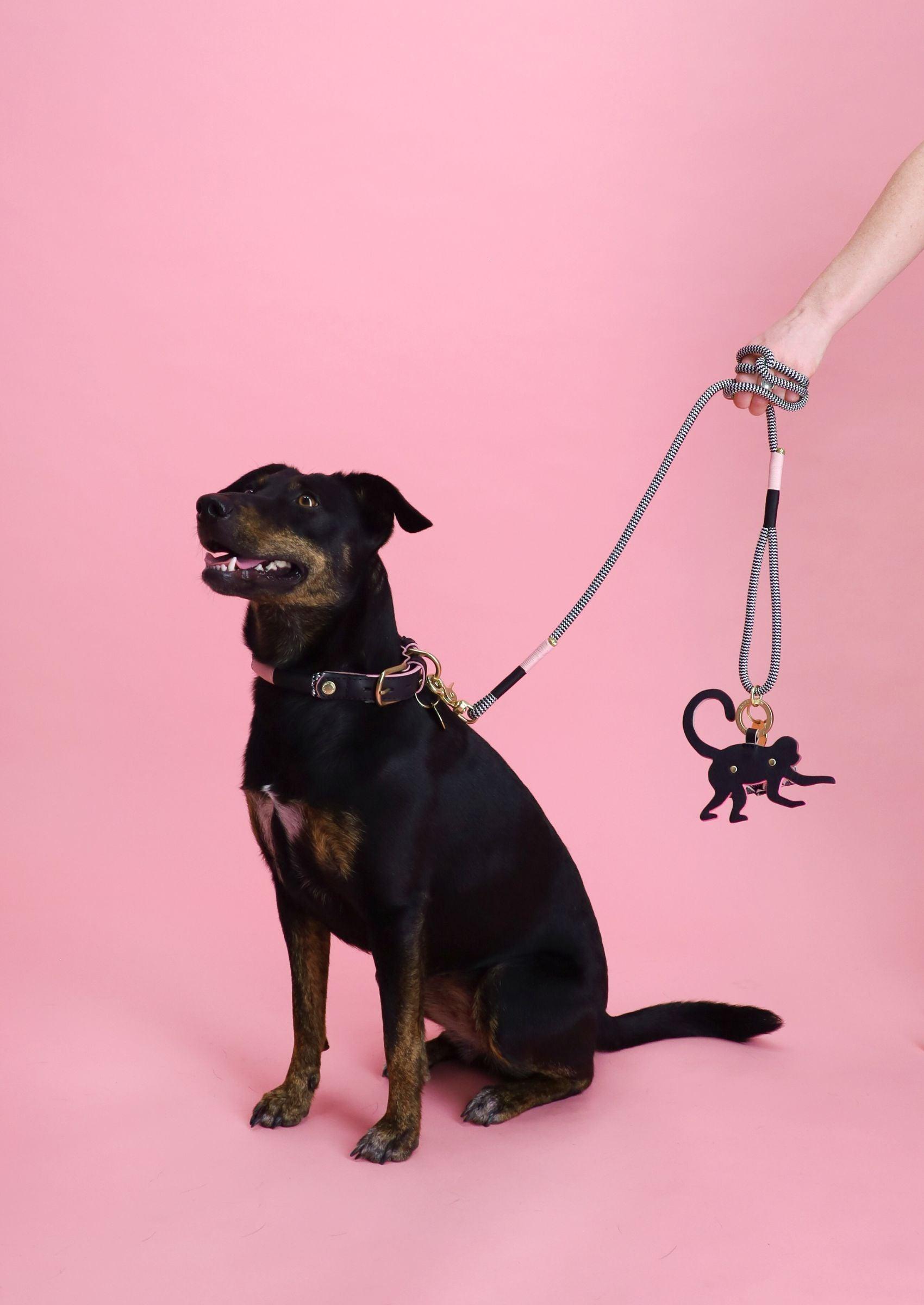 Chommies Monkey Business Poo Bag Holder | MN