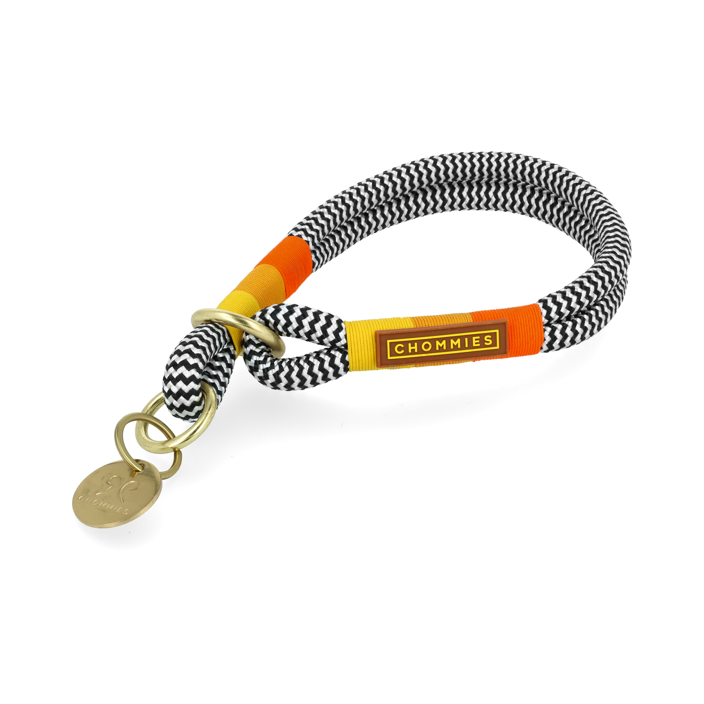 O-Ring Choker Dog Collar | Instant Honey