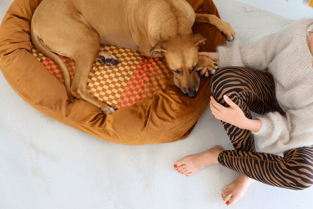 Chommies Velvet Dog Bed | Amber