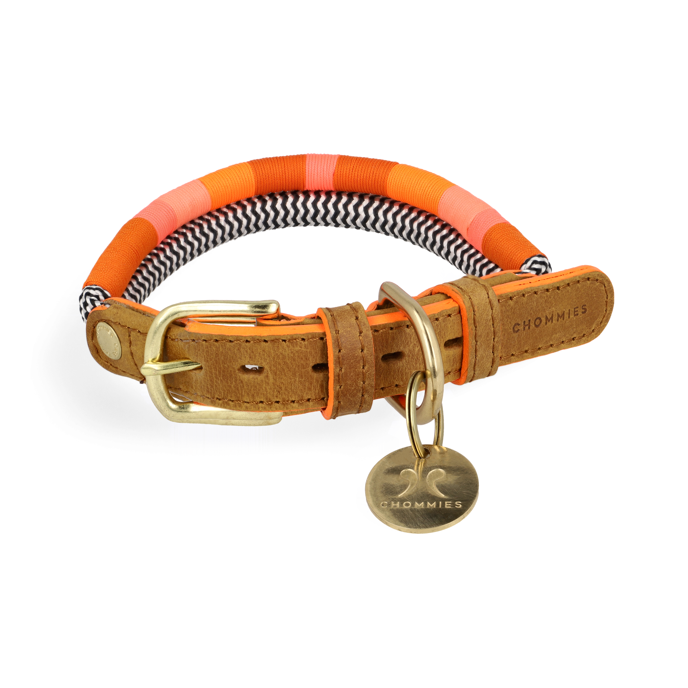 Adjustable Dog Collar | Atomic Carrot